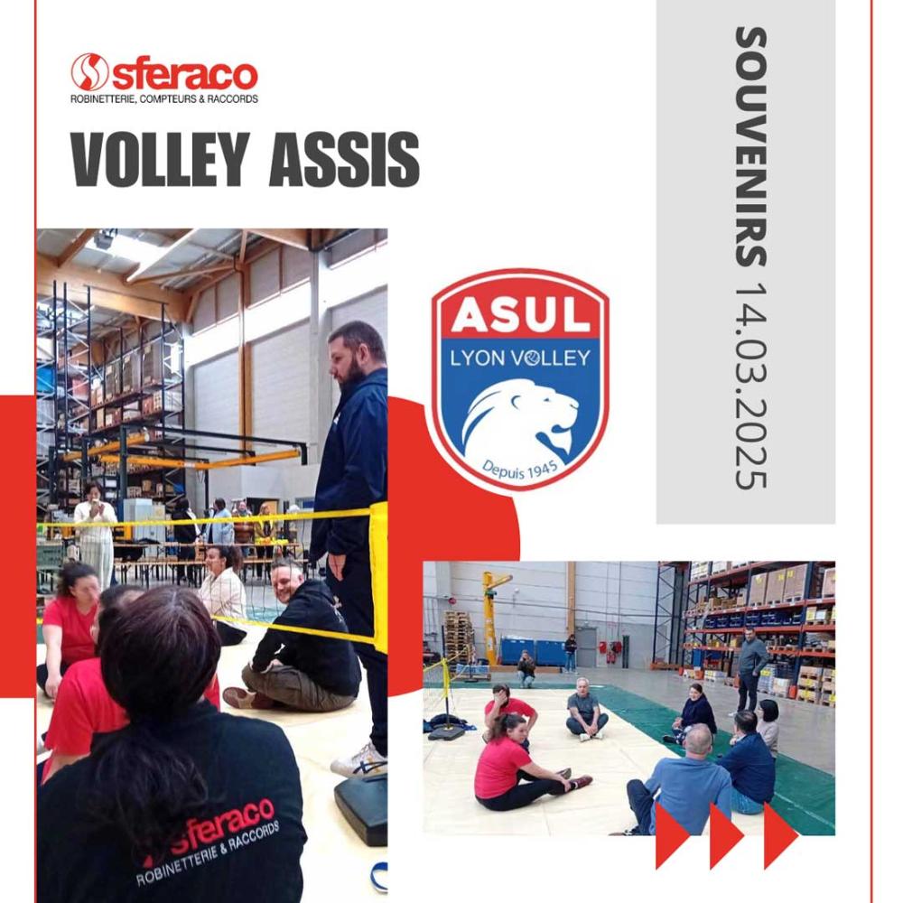 Volley Assis