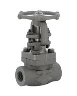 113 - Vanne à opercule forgé class800 trim8 femelle femelle NPT