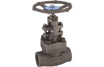 418 - Robinet à soupape acier forgé class800 trim12 femelle femelle NPT