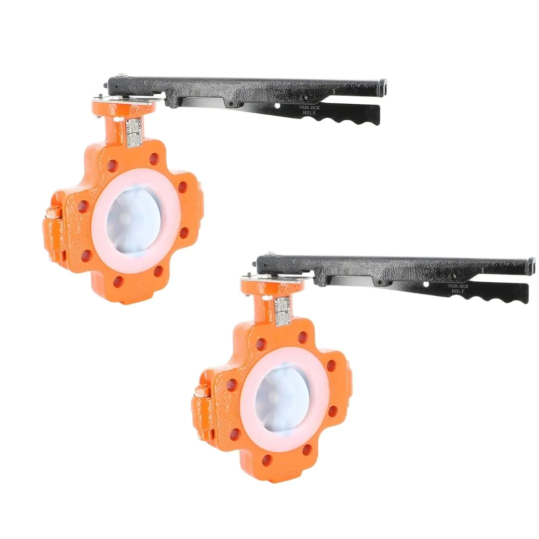 Robinets à papillon fonte revêtu