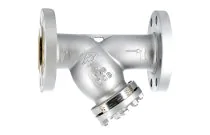 244 - Filtre en Y à tamis en acier à brides class300