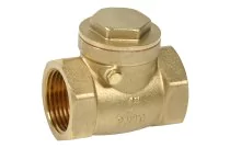 302 - Clapet non retour simple battant avec siège EPDM BSP PN10