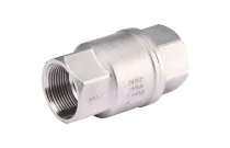 329 - Clapet non retour double guidage disque inox F BSP