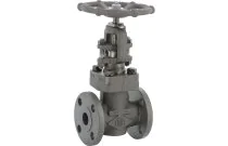 440 - Robinet à soupape acier forgé class150 RF PN20