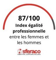 Visuel index sur l'égalité professionnelle entre les hommes et les femmes | Sferaco